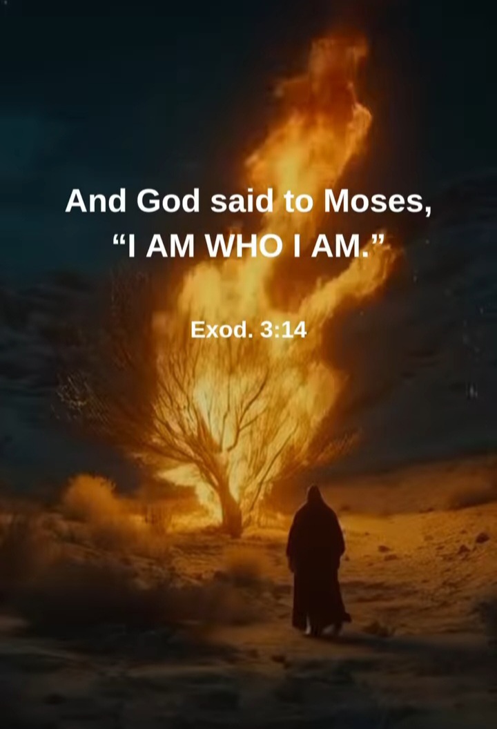 Screenshot20260519165036Galleryjpg The Almighty Jehovah
