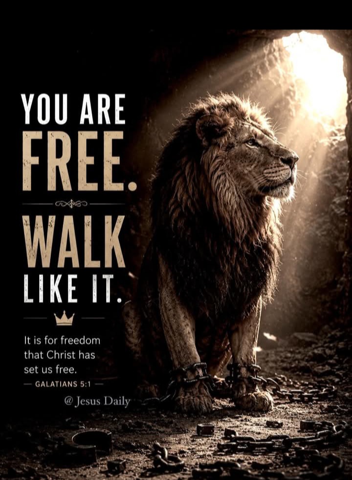 Screenshot20260519194343Facebookjpg The Almighty Jehovah