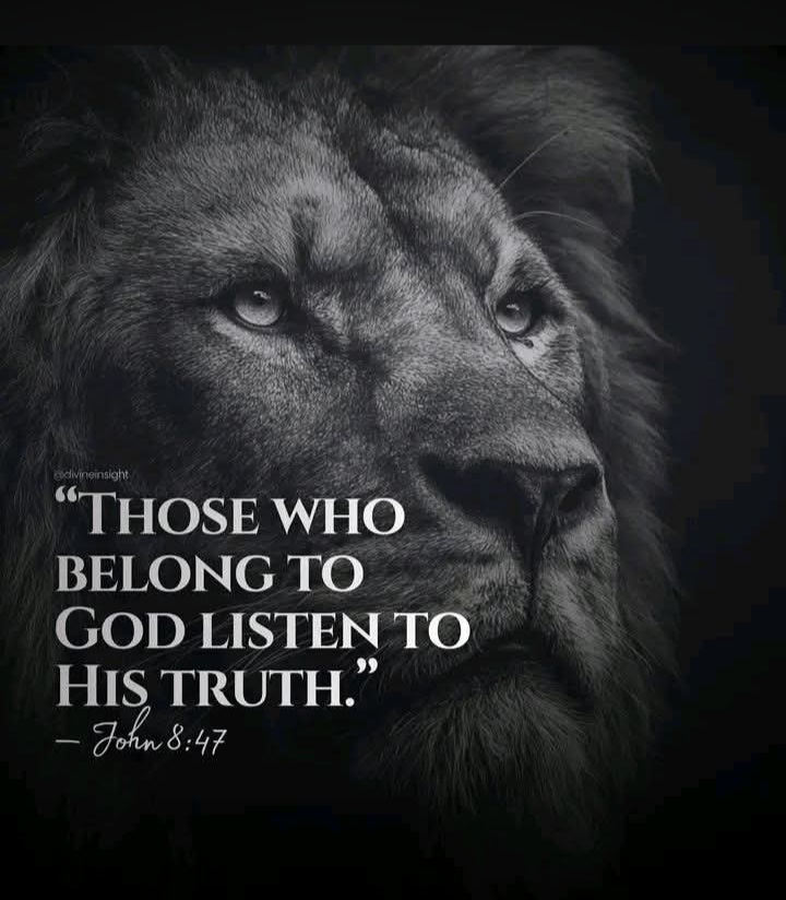 a48a1e2f4b7a43b09cacb94caf6e7bab1all40391jpg The Almighty Jehovah